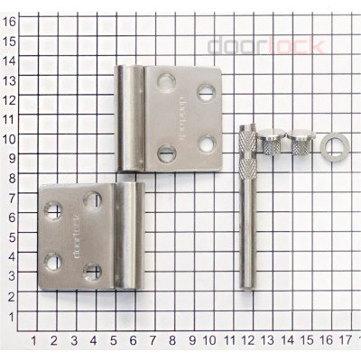 Дверная петля DL H110/95 SSS карточная, матовая нержавеющая сталь, разобранная